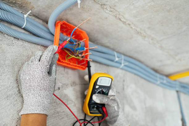 Best Home Electrical Repair  in Martinsvle, IL